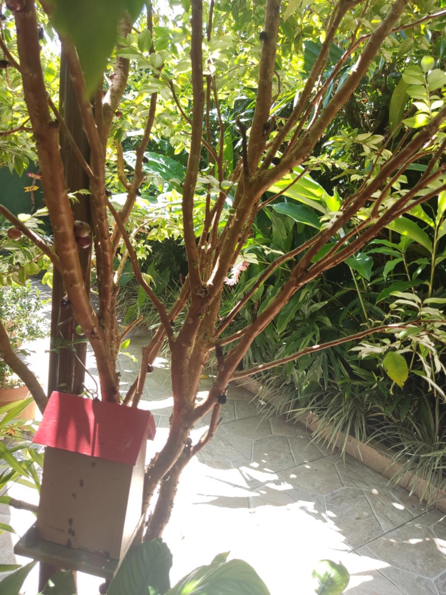 Recanto Toca das Plantas de Ilhabela I Habitación foto